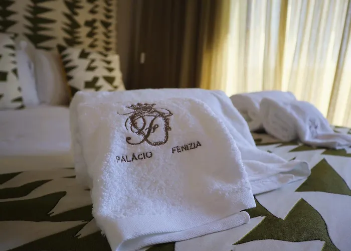 Palacio Fenizia Lux 3* 포르투